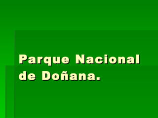 Parque Nacional de Doñana. 