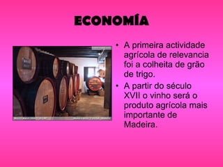 ECONOMÍA A primeira actividade agrícola de relevancia foi a colheita de grão de trigo. A partir do século XVII o vinho será o produto agrícola mais importante de Madeira. 