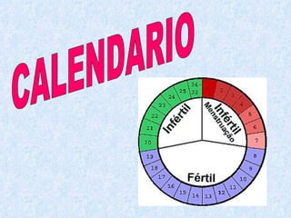CALENDARIO 