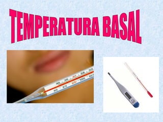 TEMPERATURA BASAL 
