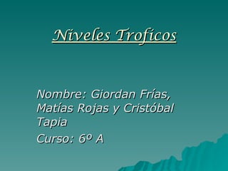 Niveles Troficos Nombre: Giordan Frías, Matías Rojas y Cristóbal Tapia  Curso: 6º A 