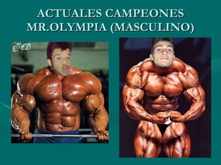 ACTUALES CAMPEONES MR.OLYMPIA (MASCULINO) 