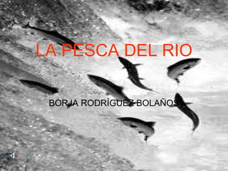 LA PESCA DEL RIO BORJA RODRÍGUEZ BOLAÑOS 