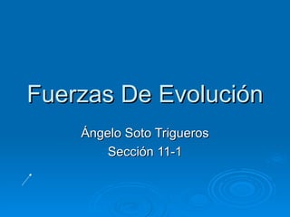 Fuerzas De Evolución
    Ángelo Soto Trigueros
        Sección 11-1
 