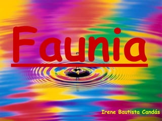 Faunia
   Irene Bautista Candás
 