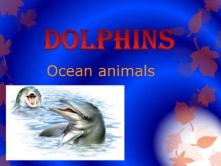 Ocean animals
 