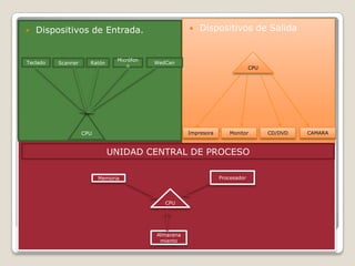  Dispositivos de Entrada.  Dispositivos de Salida
CPU
Teclado Scanner Ratón
Micrófon
o
WedCan
CPU
Memoria
Almacena
miento
Procesador
UNIDAD CENTRAL DE PROCESO
CPU
Monitor CD/DVDImpresora CAMARA
 