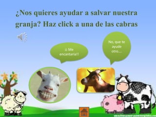 ¿Nos quieres ayudar a salvar nuestra
granja? Haz click a una de las cabras
¡¡ Me
encantaría!!

No, que te
ayude
otro….

 