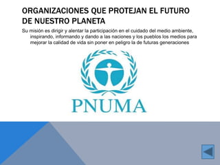 ORGANIZACIONES QUE PROTEJAN EL FUTURO 
DE NUESTRO PLANETA 
Su misión es dirigir y alentar la participación en el cuidado del medio ambiente, 
inspirando, informando y dando a las naciones y los pueblos los medios para 
mejorar la calidad de vida sin poner en peligro la de futuras generaciones 
 