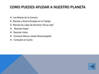 COMO PUEDES AYUDAR A NUESTRO PLANETA 
 Las Bolsas de la Compra 
 Recicla y Ahorra Energía en el Trabajo 
 Recicla las Latas de Aluminio "Da la Lata" 
 Reciclar Papel 
 Reciclar Vidrio 
 Conduce Menos ¡Hazte Biciecologista! 
 Comparte el Coche 
 