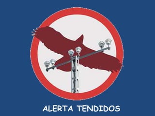 ALERTA TENDIDOS
 