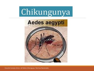 Guiademanejoclinico defiebrechikunguya, NormasNacionales
 