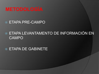 METODOLOGÍA
 ETAPA PRE-CAMPO
 ETAPA LEVANTAMENTO DE INFORMACIÓN EN
CAMPO
 ETAPA DE GABINETE
 