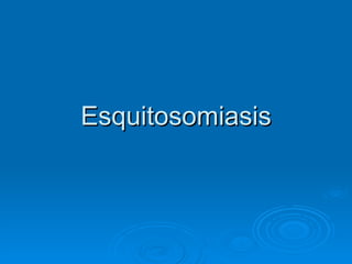 Esquitosomiasis
 