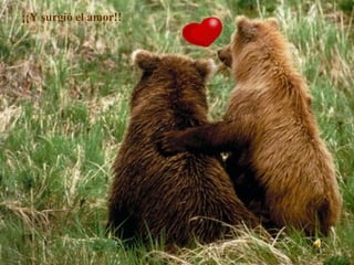 ¡¡Y surgió el amor!!
 
