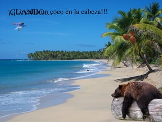 ¡¡¡Le calló un coco en la cabeza!!!
 CUANDO…
 