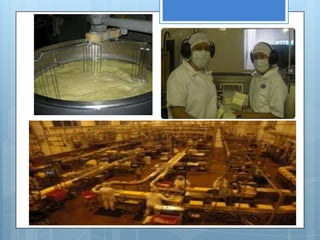 proceso productivo del queso