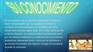 • El conocimiento de las plantas medicinales ha sido un
factor indispensable que ha ayudado al hombre a
combatir las enfermedades y los embates del clima
desde hace muchos siglos atrás. En el caso particular de
la Nueva España, su medicina estuvo enriquecida tanto
por los saberes anatómicos y botánicos de sus primeros
pobladores mesoamericanos, como por la herbolaria y
las teorías humorales que trajeron consigo los europeos
durante la conquista.
 