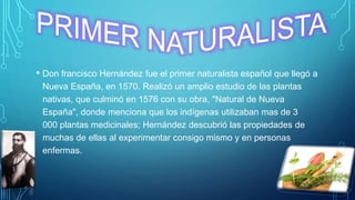 • Don francisco Hernández fue el primer naturalista español que llegó a
Nueva España, en 1570. Realizó un amplio estudio de las plantas
nativas, que culminó en 1576 con su obra, "Natural de Nueva
España", donde menciona que los indígenas utilizaban mas de 3
000 plantas medicinales; Hernández descubrió las propiedades de
muchas de ellas al experimentar consigo mismo y en personas
enfermas.
 
