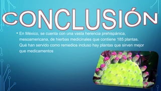 • En México, se cuenta con una vasta herencia prehispánica,
mesoamericana, de hierbas medicinales que contiene 185 plantas.
Qué han servido como remedios incluso hay plantas que sirven mejor
que medicamentos
 