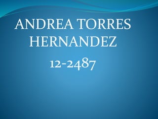 ANDREA TORRES
HERNANDEZ
12-2487
 