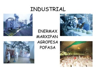 INDUSTRIAL



 ENERMAX
 MARXIPAN
 AGROPESA
  POFASA
 