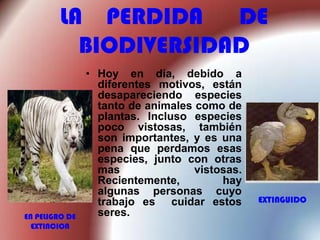 LA PERDIDA DE
BIODIVERSIDAD

EN PELIGRO DE
EXTINCION

• Hoy en día, debido a
diferentes motivos, están
desapareciendo especies
tanto de animales como de
plantas. Incluso especies
poco vistosas, también
son importantes, y es una
pena que perdamos esas
especies, junto con otras
mas
vistosas.
Recientemente,
hay
algunas personas cuyo
trabajo es cuidar estos
seres.

EXTINGUIDO

 