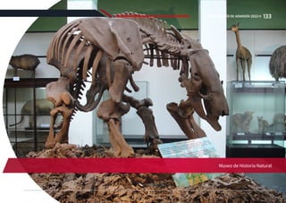 Museo de Historia Natural
133
REGLAMENTO DE ADMISIÓN 2022-II
 