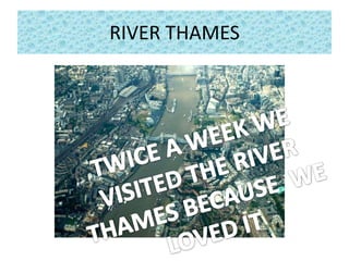 RIVER THAMES TWICE A WEEK WE VISITED THE RIVER THAMES BECAUSE  WE LOVED IT