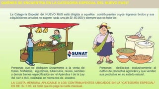 .QUIÉNES SE ENCUENTRA EN LA CATEGORÍA ESPECIAL DEL NUEVO RUS)?
 