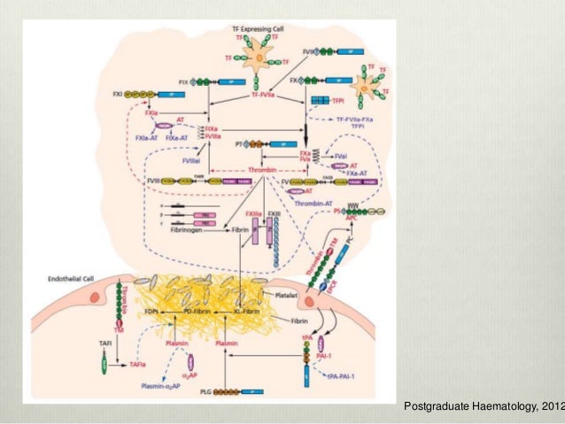 ebook STAAD.Pro 2007 American Examples Manual 0
