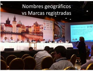 15
Nombres geográficos
vs Marcas registradas
 