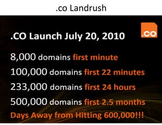 .co Landrush
 