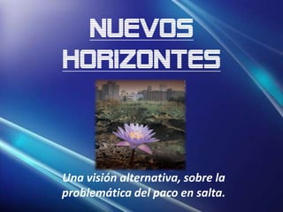 Nuevos
Horizontes



Una visión alternativa, sobre la
problemática del paco en salta.
 
