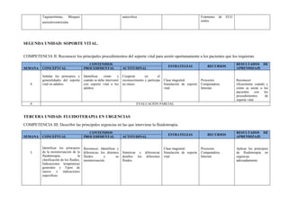 Taquiarritmias, Bloqueo
auriculoventricular.
autocrítica. Exámenes de ECG
reales.
SEGUNDA UNIDAD: SOPORTE VITAL.
COMPETENCIA II: Reconocer los principales procedimientos del soporte vital para asistir oportunamente a los pacientes que los requieran.
SEMANA
CONTENIDOS
ESTRATEGIAS RECURSOS
RESULTADOS DE
APRENDIZAJECONCEPTUAL PROCEDIMENTAL ACTITUDINAL
4
Señalar los principios y
generalidades del soporte
vital en adultos.
Identificar cómo y
cuándo se debe intervenir
con soporte vital a los
adultos.
Cooperar en el
reconocimiento y participa
en clases.
Clase magistral.
Simulación de soporte
vital.
Proyector.
Computadora.
Internet.
Reconocer
eficazmente cuándo y
cómo se asiste a los
pacientes con los
procedimientos de
soporte vital.
4 EVALUACIÓN PARCIAL
TERCERA UNIDAD: FLUIDOTERAPIA EN URGENCIAS
COMPETENCIA III: Describir las principales urgencias en las que interviene la fluidoterapia.
SEMANA
CONTENIDOS
ESTRATEGIAS RECURSOS
RESULTADOS DE
APRENDIZAJECONCEPTUAL PROCEDIMENTAL ACTITUDINAL
5
Identificar los principios
de la monitorización de la
fluidoterapia, la
clasificación de los fluidos,
Indicaciones terapéuticas
generales y Tipos de
sueros e indicaciones
específicas.
Reconocer, Identificar y
diferencias los distintos
fluidos y su
monitorización.
Sintetizar y diferenciar
detalles los diferentes
fluidos.
Clase magistral.
Simulación de soporte
vital.
Proyector.
Computadora.
Internet.
Aplicar los principios
de fluidoterapia en
urgencias
adecuadamente
 