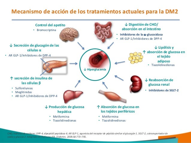 Nuevos isglt2 Nuevos isglt2