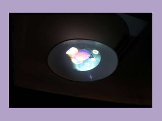 Nuevos soportes 6c y d