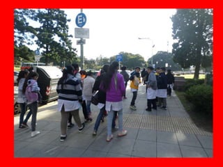 Nuevos soportes 6c y d