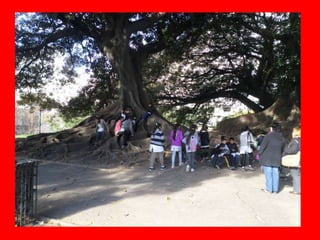 Nuevos soportes 6c y d