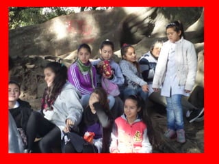 Nuevos soportes 6c y d