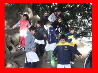 Nuevos soportes 6c y d