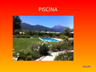 PISCINA




          VOLVER
 