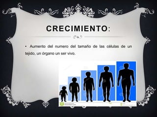 CRECIMIENTO:
• Aumento del numero del tamaño de las células de un
tejido, un órgano un ser vivo.
 