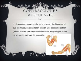 CONTRACCIONES
MUSCULARES
• . La contracción muscular es el proceso fisiológico en el
que los músculos desarrollan tensión y se acortan o estiran
(o bien pueden permanecer de la misma longitud) por razón
de un previo estímulo de extensión.
 