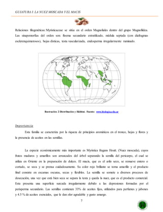 Nuez moscada y macis catalina hillera-1 | DOCX