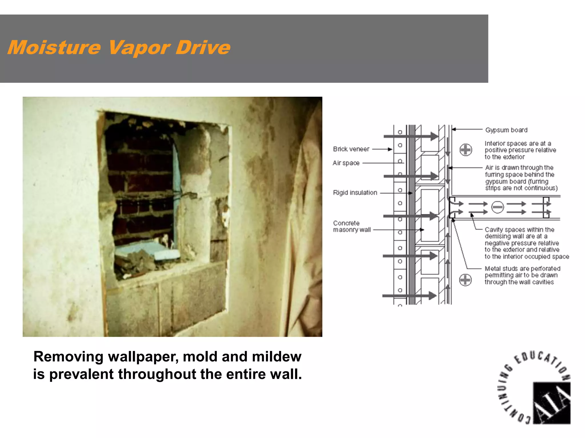 Moisture Vapor Drive

Removing wallpaper, mold and mildew
is prevalent throughout the entire wall.

 