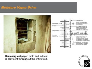 Moisture Vapor Drive

Removing wallpaper, mold and mildew
is prevalent throughout the entire wall.

 