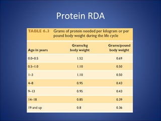 Protein RDA
 
