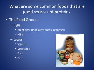 What are some common foods that are
good sources of protein?
• The Food Groups
– High
• Meat and meat substitutes (legumes)
• Milk
– Lower
• Starch
• Vegetable
• Fruit
• Fat
 