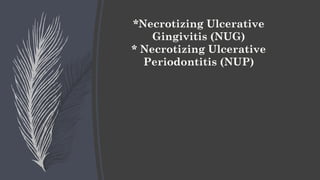 *Necrotizing Ulcerative
Gingivitis (NUG)
* Necrotizing Ulcerative
Periodontitis (NUP)
 
